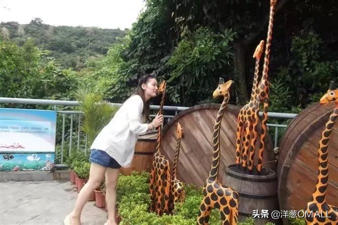 洋葱OMALL明星店主：我的海外代购“转正”记！