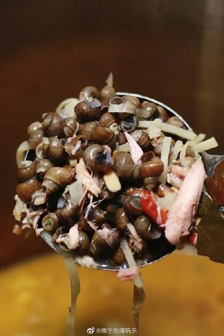 螺蛳粉保护动物,螺蛳被列为国家二级保护动物