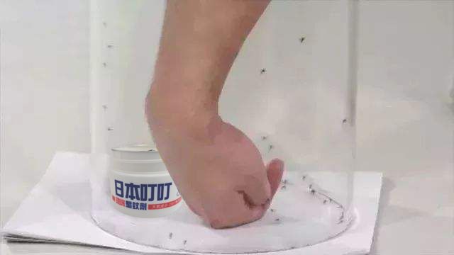 晚上蚊子多教你一个小妙招,蚊子一直在耳边嗡嗡的小妙招