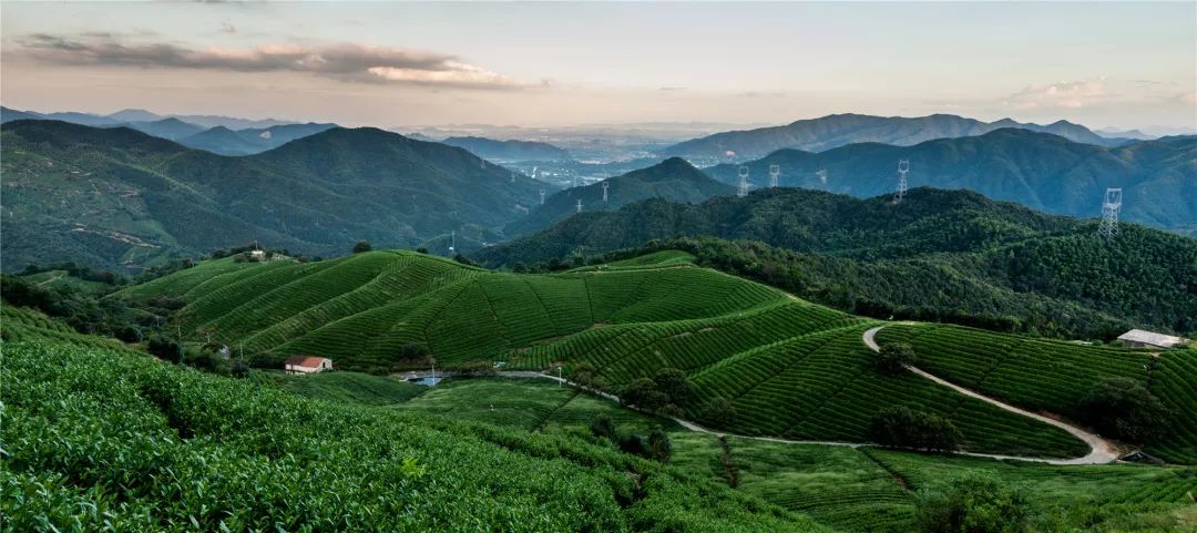 杭州十大绿道,杭州一条千里绿道