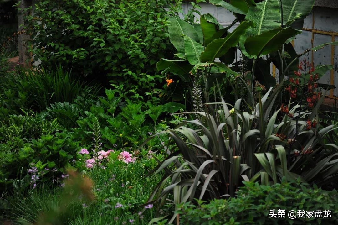 这种乱七八糟滴栽花方式,到底是不是园丁出了问题?