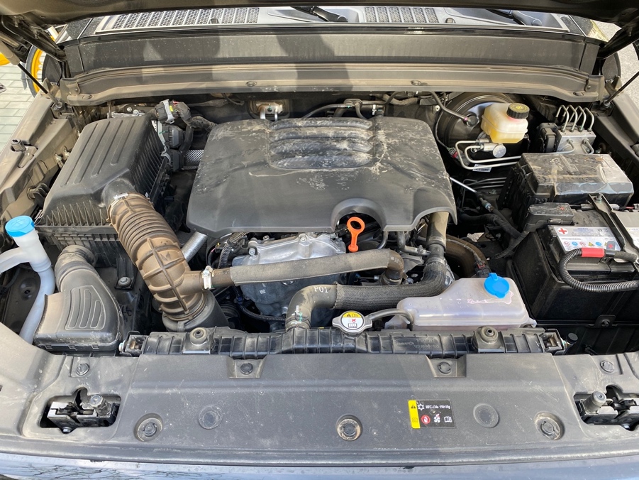 知耻而后勇的深度解析,知耻而后勇的感悟