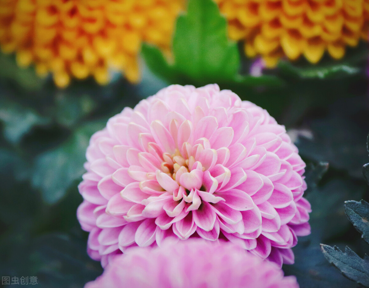 当金牛座惹我生气时我该怎么办,金牛座不想跟你继续相处的表现