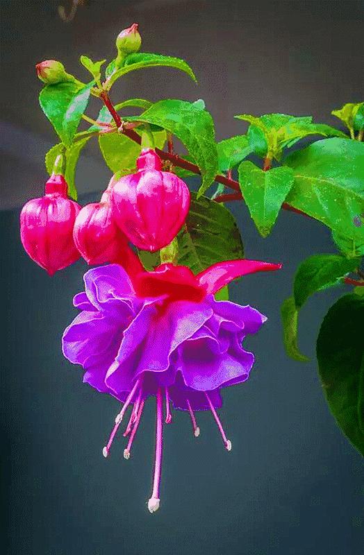 如何缓解职场压力和焦虑情绪,如何缓解职场压力导读