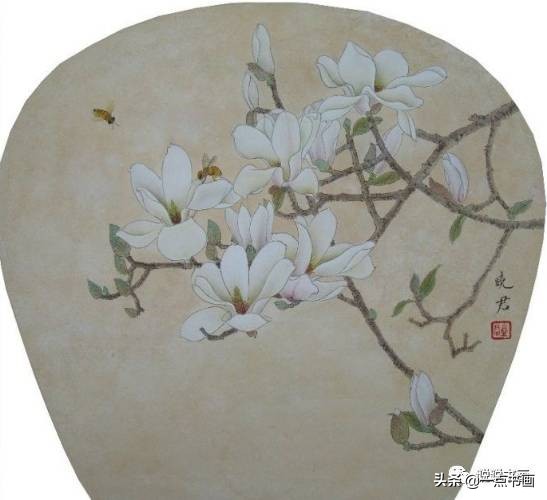 玉兰花的画法和枝干布局,玉兰花的素描画法步骤图