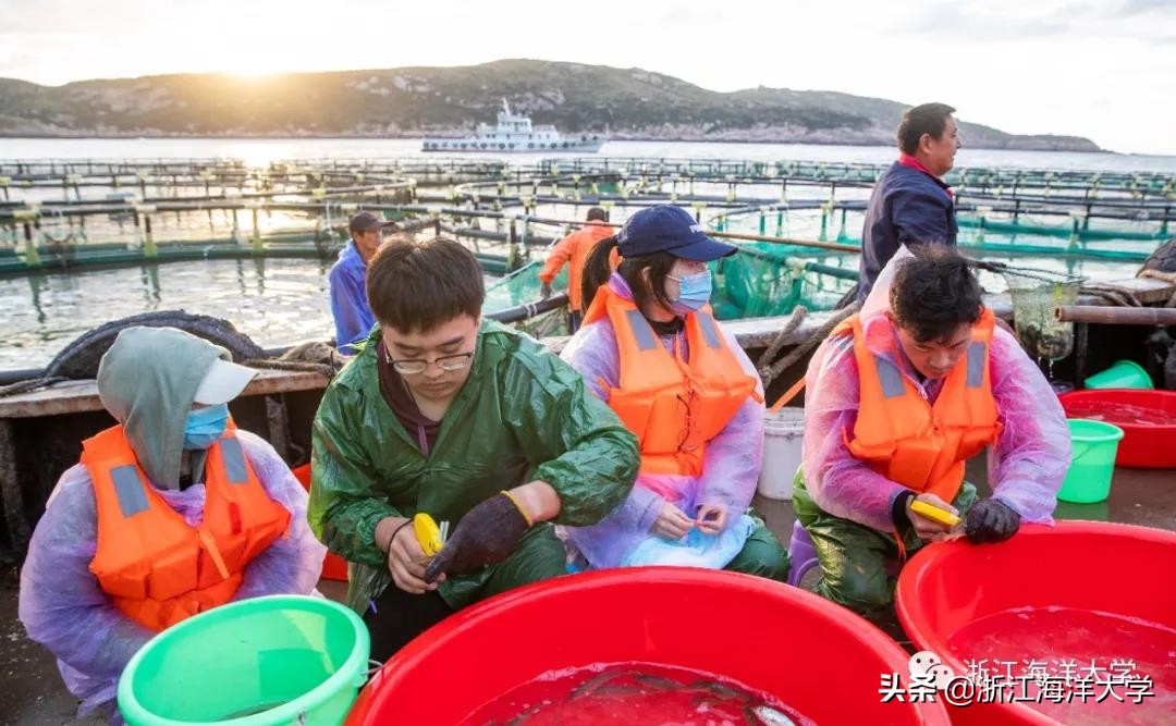 娴欐睙鏃ユ姤娣卞害鎶ラ亾,娴欐睙鏃ユ姤寮曢鏂扮殑鑸▼