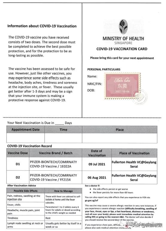 13岁女儿出国留学,中国飞新加坡攻略