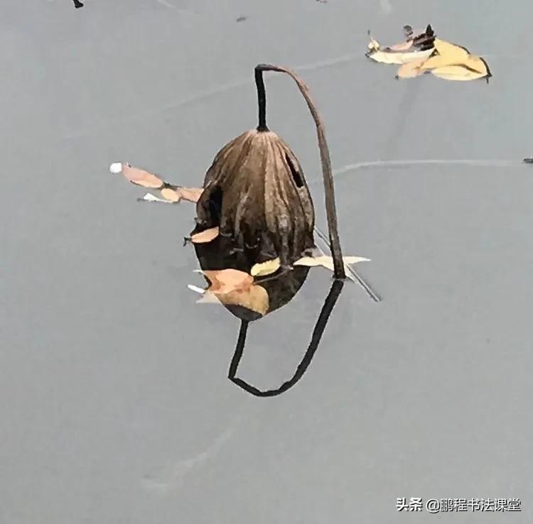 苏州最美的地方是哪里,苏州天平山最近景色