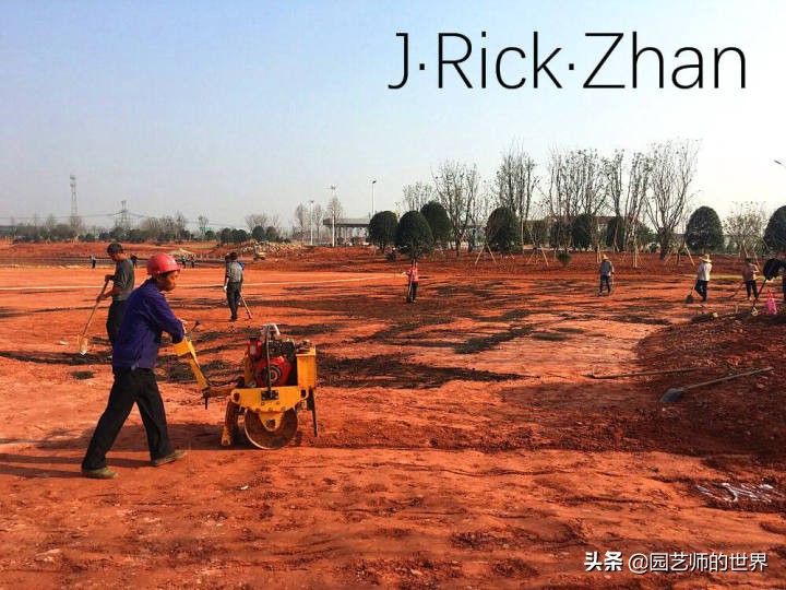 高尔夫果岭草坪家庭院子种植,麦冬草坪种植方法和注意事项