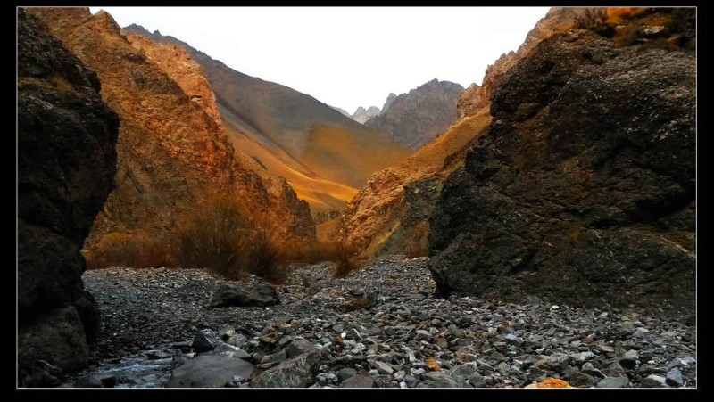 带上UL从狼塔C回家