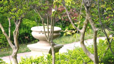 窃格瓦拉的天敌！智能出行更安全，大鱼电动车走进我的生活