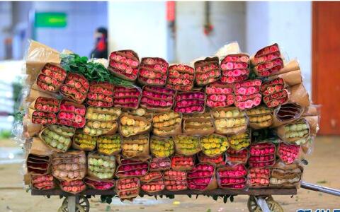 花从斗南来:每朵鲜花背后的故事