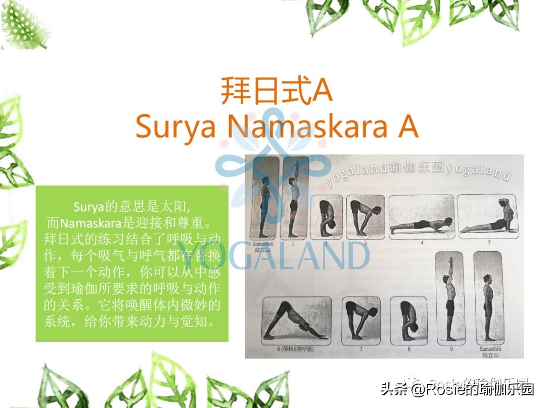 瑜伽小白如何在家自己练瑜伽,瑜伽零基础入门的基本体式有哪些