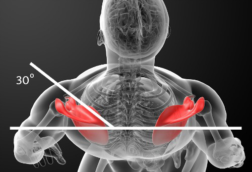 增肌训练指的是,增肌力量的基本知识