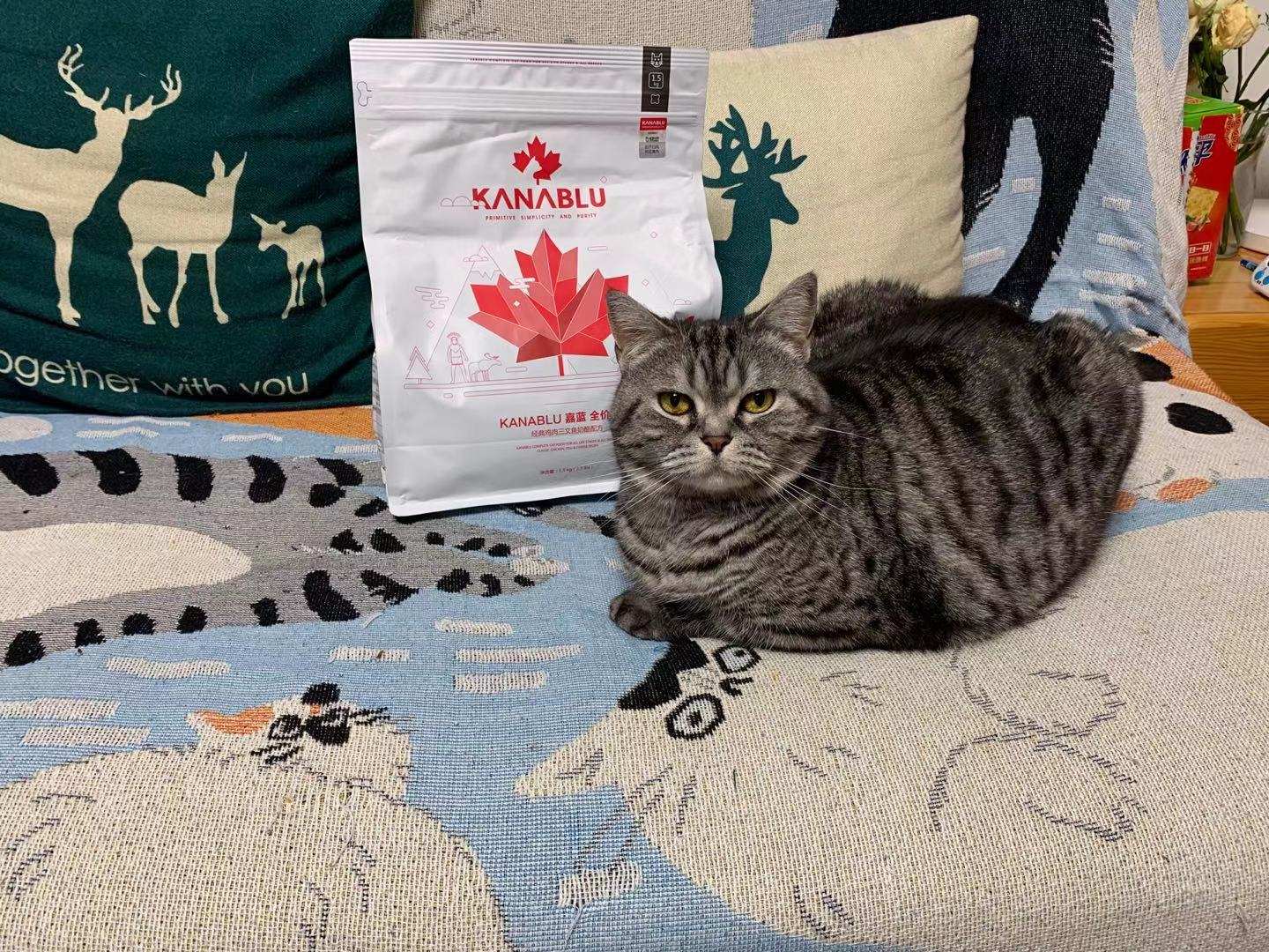 嘉蓝三文鱼猫粮,嘉蓝猫粮和皇家猫粮