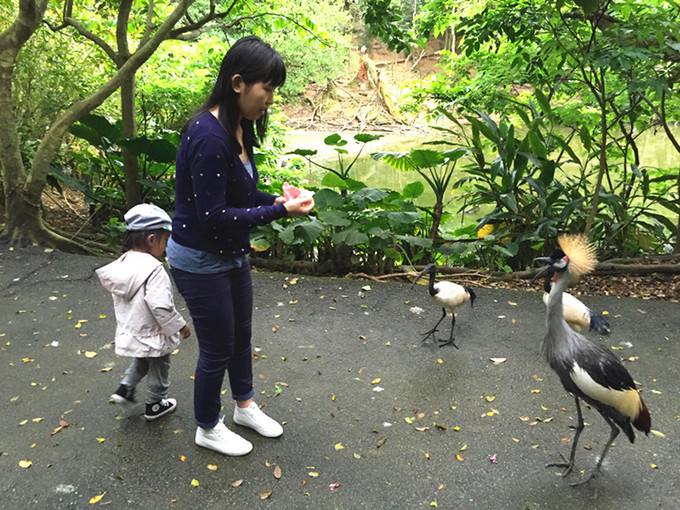 日本冲绳好吗,日本冲绳可以潜水吗