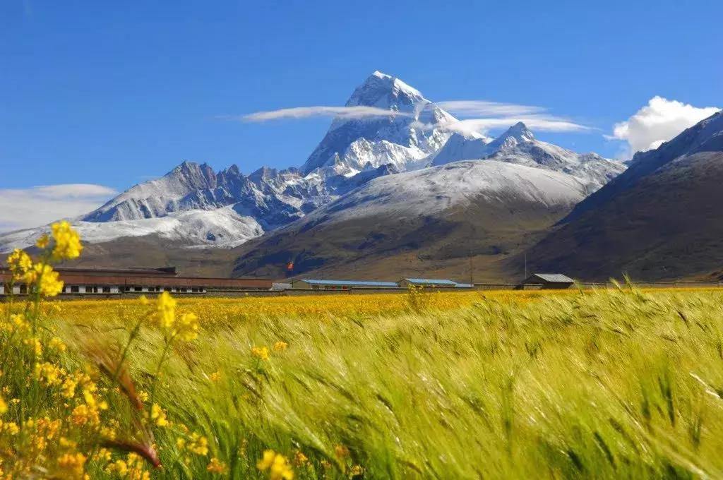 中国六十年代观影最多的电影,18年震撼中国十大瞬间