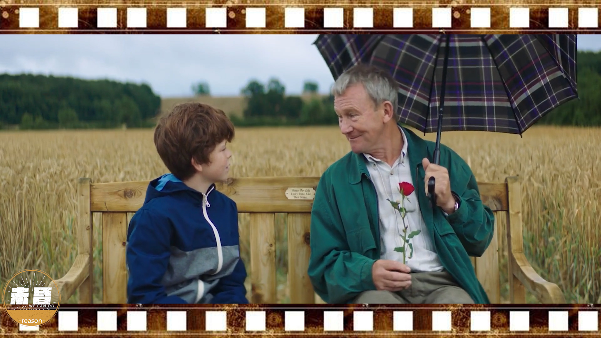 一片麦田完整版,一片麦田一束玫瑰