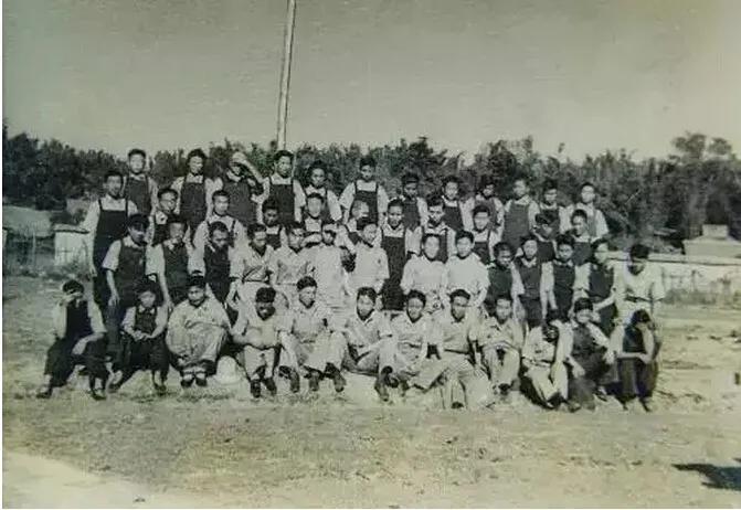 最惨茶厂：高频轰炸中坚持生产茶叶