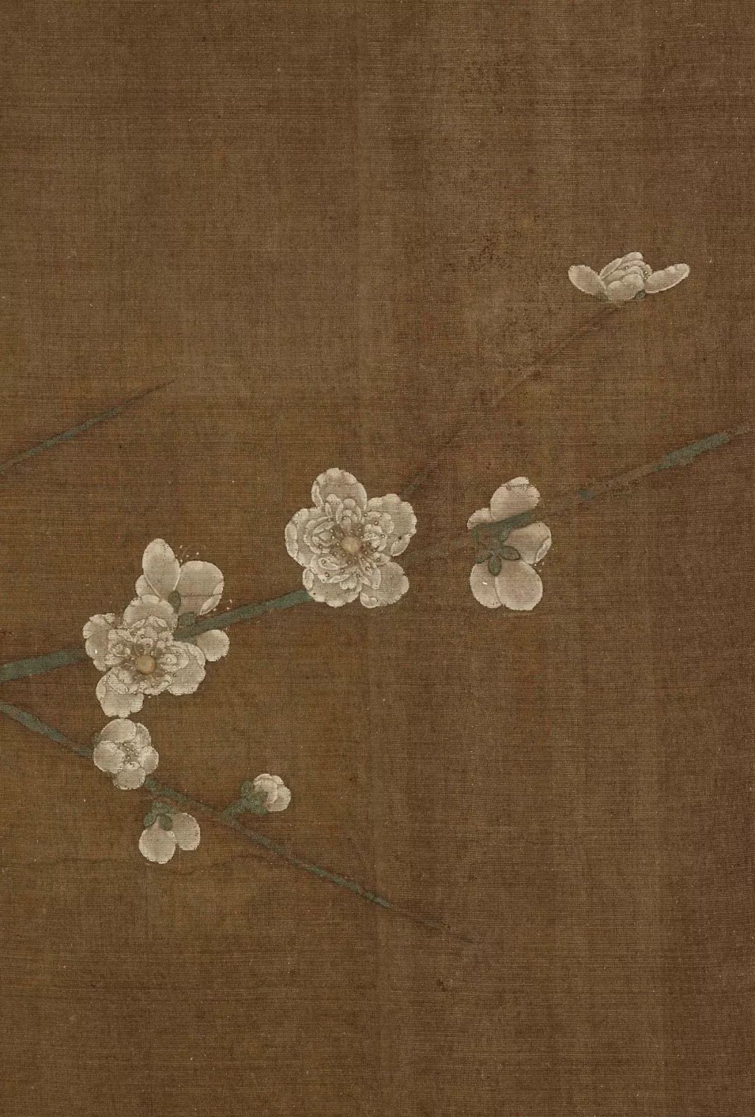 学画画最基础的从哪里学起,60岁学画画入门