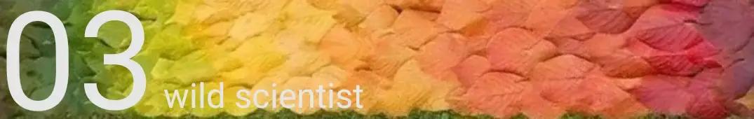 葱得了大葱锈病还能吃吗,葱黄锈病怕什么