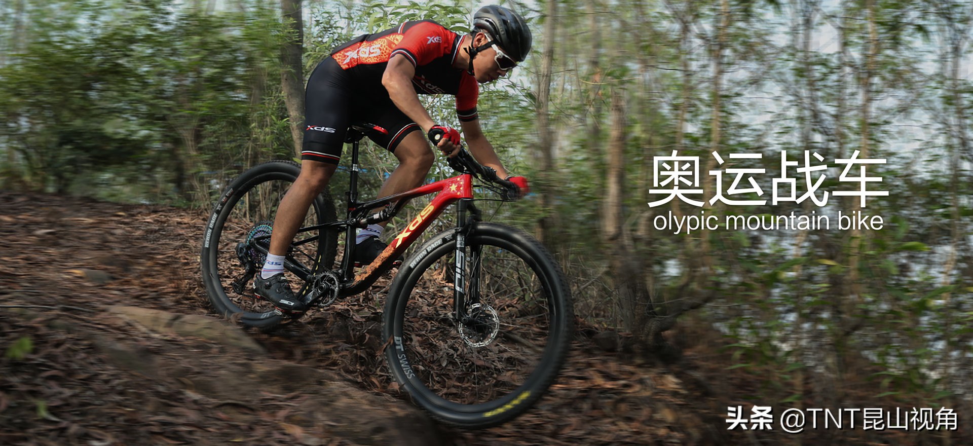 捷安特碳纤维公路自行车品牌,公路自行车外胎最好品牌排行榜