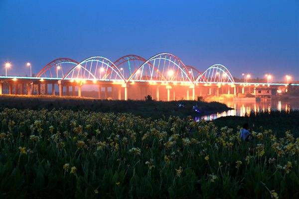 南阳市各县区经济综合实力排名,2023年南阳县区经济排名