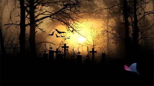 看恐怖片的好处和坏处,情侣看恐怖片有什么好处