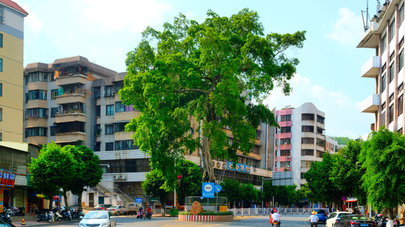 云浮小众旅游推荐,云浮小城