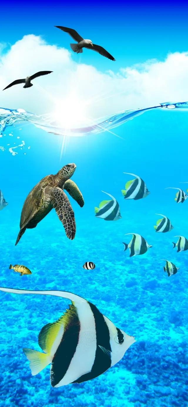 高清海底世界壁纸原生态动态,高清海底世界壁纸4k全屏无水印
