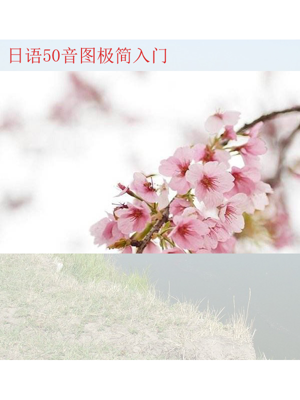 日语50音图标准发音,日语50音记忆口诀