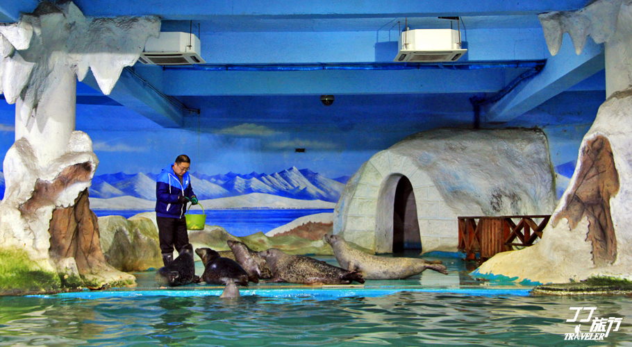 青岛最大的海洋世界在哪里呀,山中有海海上有门是谁写的