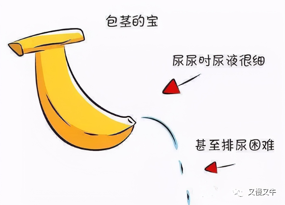 阳光男孩想干的事,阳光男孩求爱