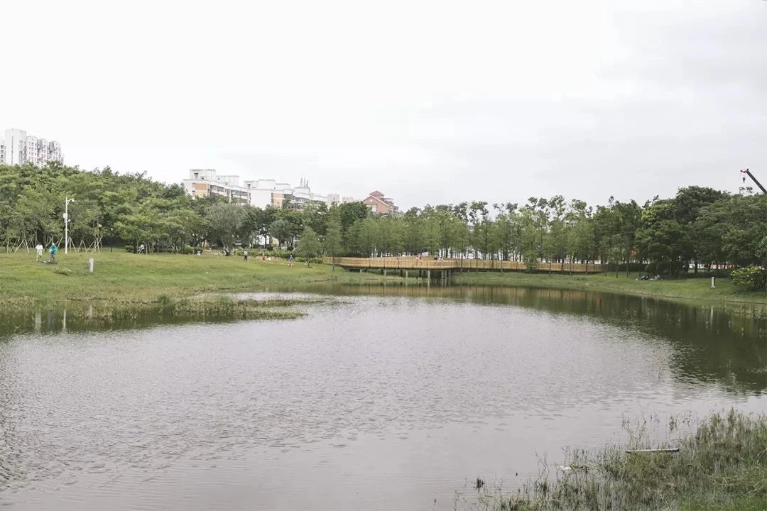 深圳旅游攻略地铁沿线景点,深圳市地铁2号线打卡的24个景点