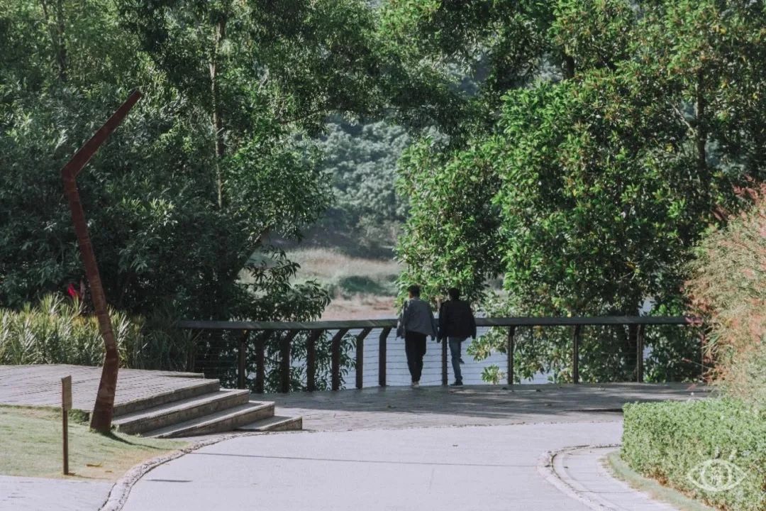 放假在深圳能去哪里玩,放假了可以去深圳的哪些地方玩