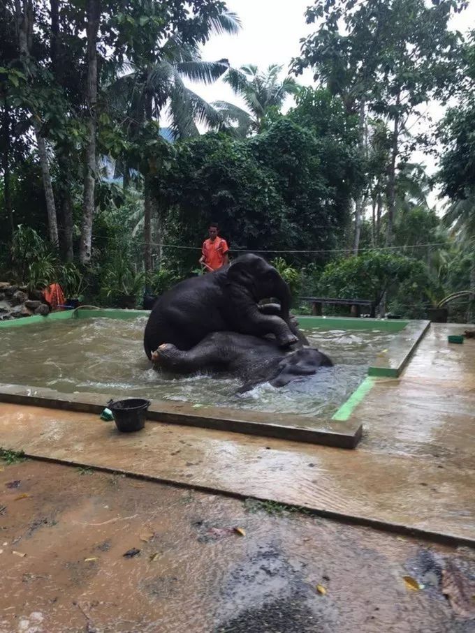 泰国甲米自由行10天费用,泰国甲米4天3晚自由行