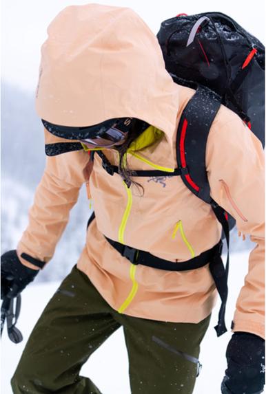 始祖鸟秀场版,始祖鸟的秀场图片