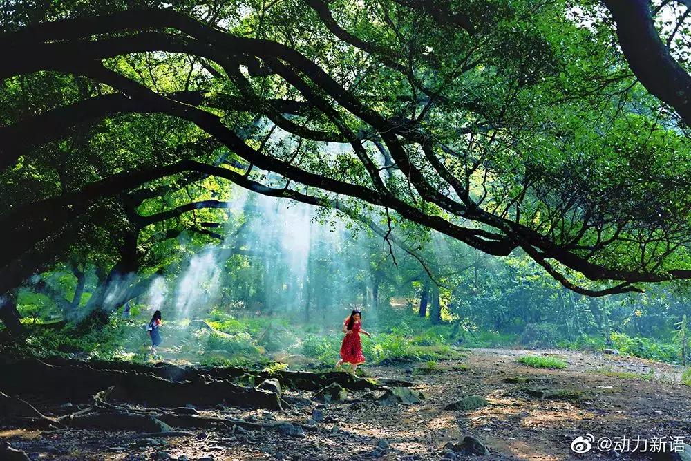 这么一片五彩滩涂奇幻仙境，超惊艳！在福建，厦门动车可以直达