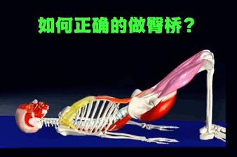桥式瑜伽每日必练5分钟,瑜伽桥式练习图解