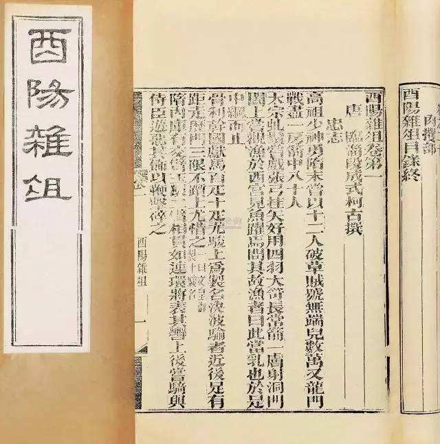 郭沫若笔下的鸟,郭沫若笔下的白鹭是那样惹人喜爱