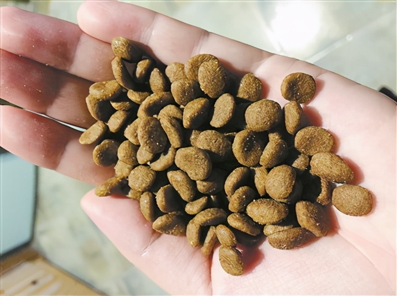 阿拉斯加犬幼犬狗粮如何挑选,怎么挑选狗粮这几点教你挑选