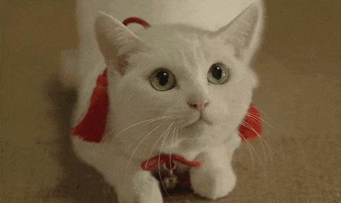 无限极怎么干才能成功,无限极实验视频