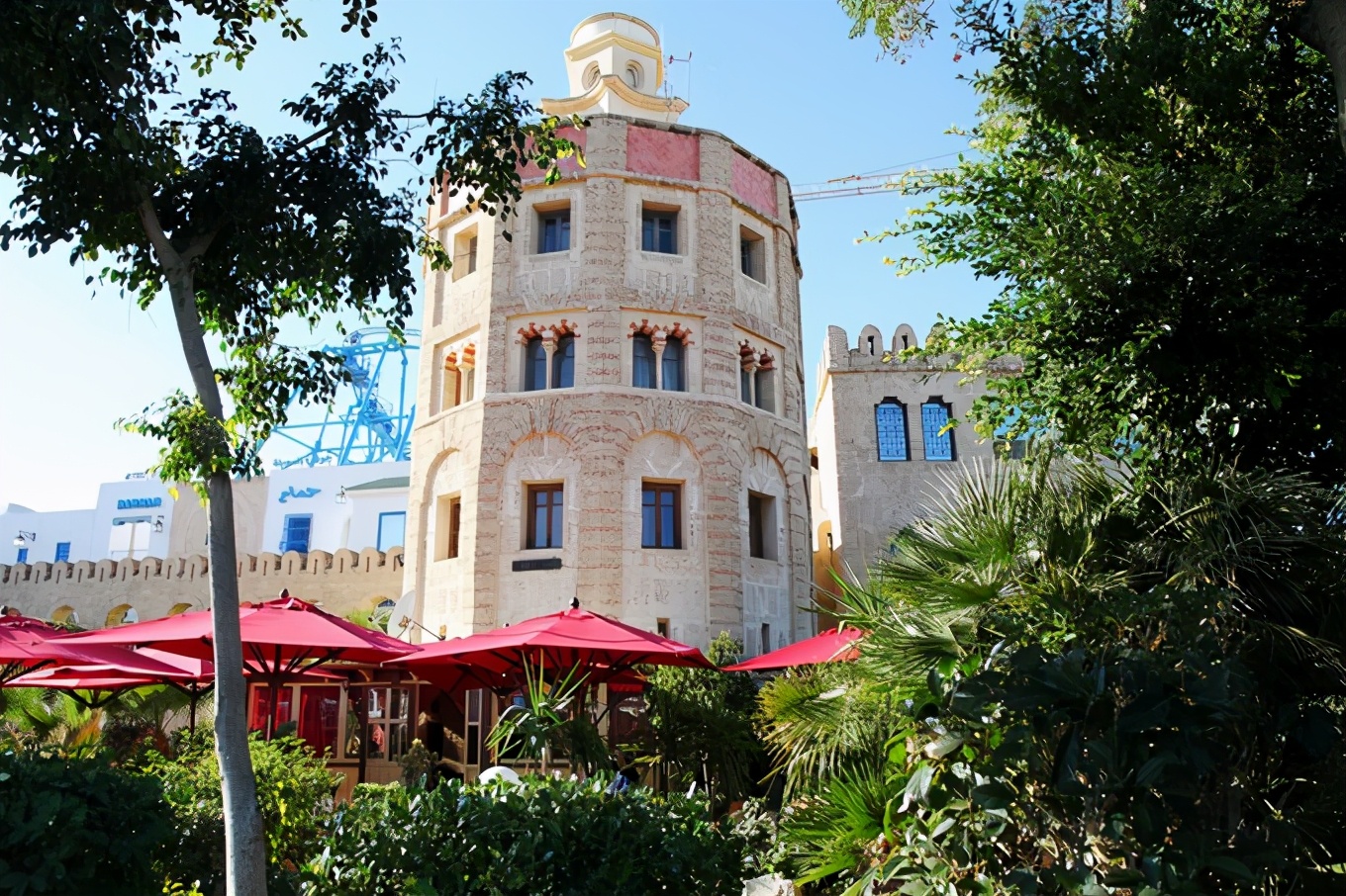 突尼斯｜一个微笑，一句“salam”，我为你动容（1）