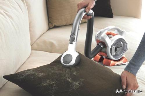 夏天猫毛狂掉怎样清理家中的猫毛,家里养猫咪猫毛满天飞怎么办