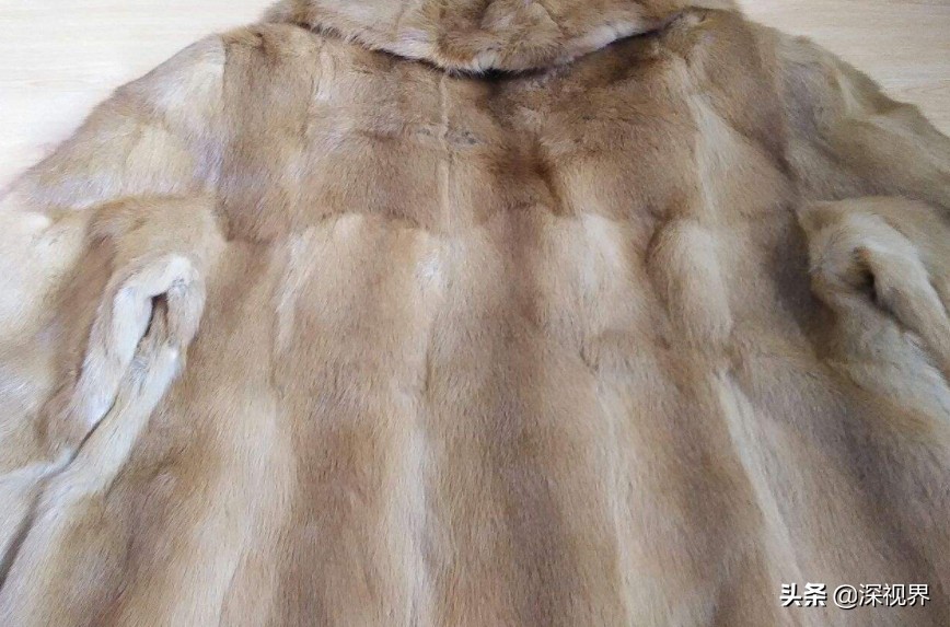 黄鼠狼为什么没有人工养殖,黄鼠狼有没有人工养殖