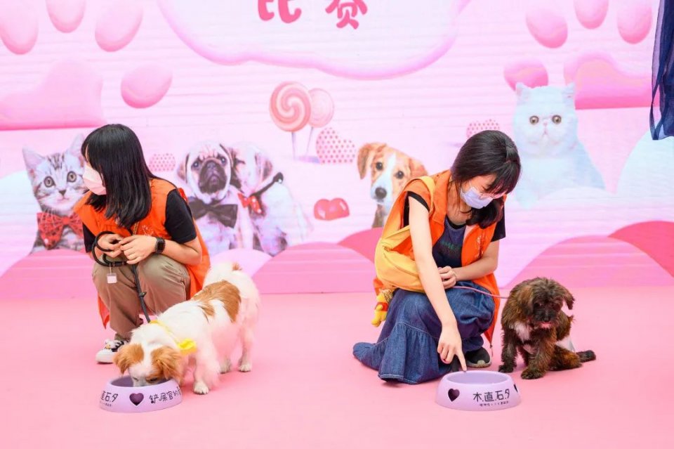 保利MALL 阿派领养日！有只萌宠在call你…