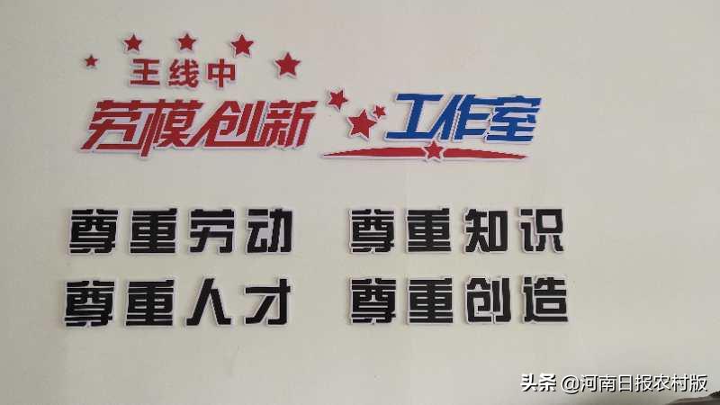 上蔡农民王线中：从“牛总”到“艾痴”，与艾草“结缘”，闯出致富路子