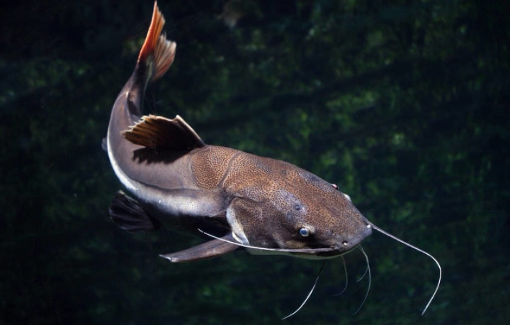 职来职往完整版台词,职来职往求职者谈人格分析