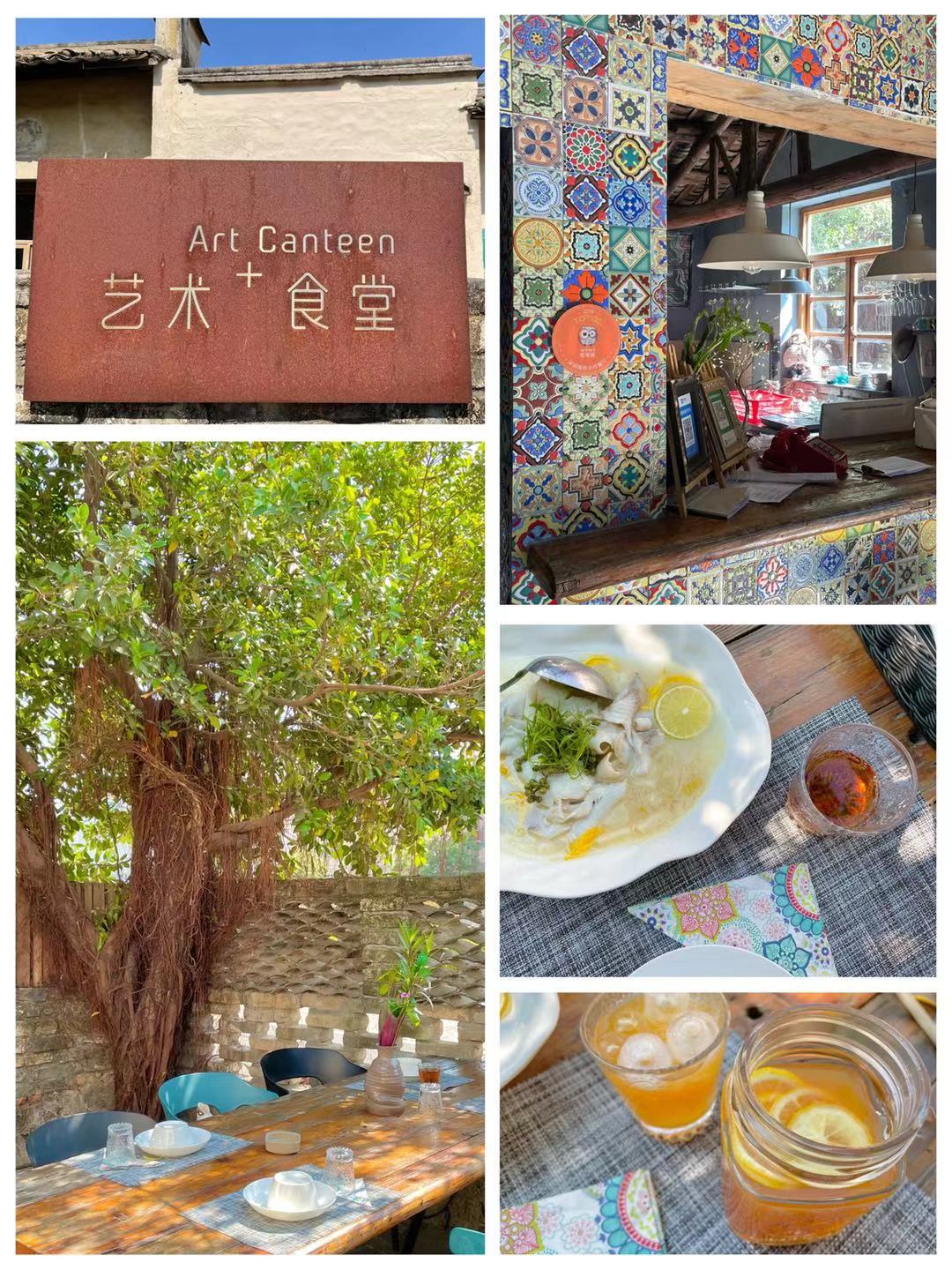 今日深圳龙华旅游攻略,深圳周末龙华去哪玩推荐