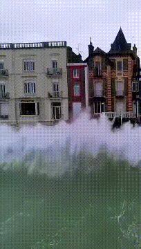 两根黄瓜搞笑图片,腰椎间盘突出搞笑图片高清大图